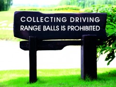 标识语的特点与功能